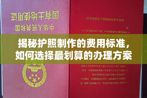 石城揭秘护照制作的费用标准，如何选择最划算的办理方案？