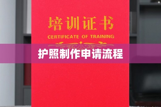 石城护照制作申请流程