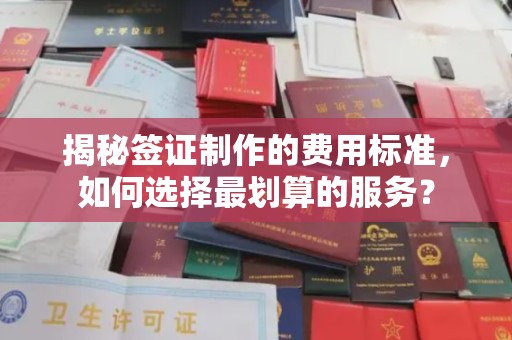 石城揭秘签证制作的费用标准，如何选择最划算的服务？